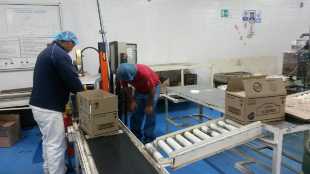 Producciòn de Margarina